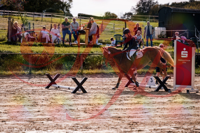 2026_10_03_Siefer-Hof_144705_Z81_23664443 | Professionelle Reitsport-, Turnier- und Eventfotografie von Robert Broda. Galerien mit ausgewählten und bearbeiteten Bildern direkt online ansehen und bestellen.