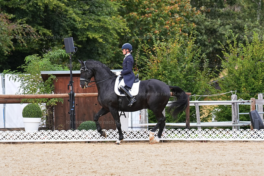 11-042-Dressur S___-StoibPH-1182 | working equitationturnier fotograf videograf stoibphotography marixx film working equitation deutschland reitsport turnierfotografie eventfotografie equestrian events