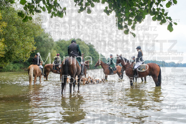Jagd Perdoel_MarinaHewigDSCF3507 | Fotografie, FotoArt, PferdesportArt, Pferdesportfotografie, Landschaftsfotografie, Reisefotografie, Reise, Pferde - Realisiert mit Pictrs.com