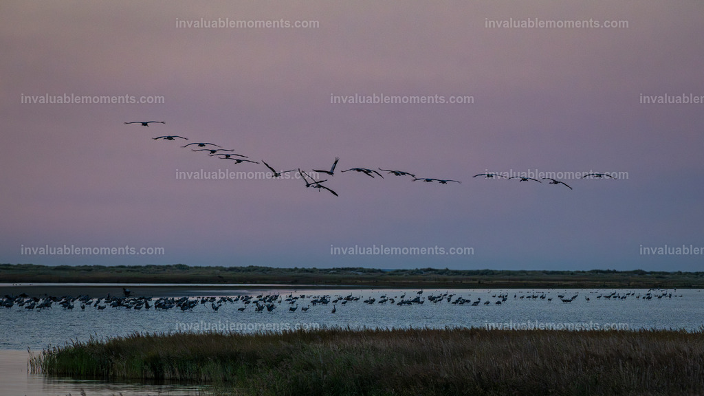 DSC_5074 | invaluablemoments.com - Realisiert mit Pictrs.com