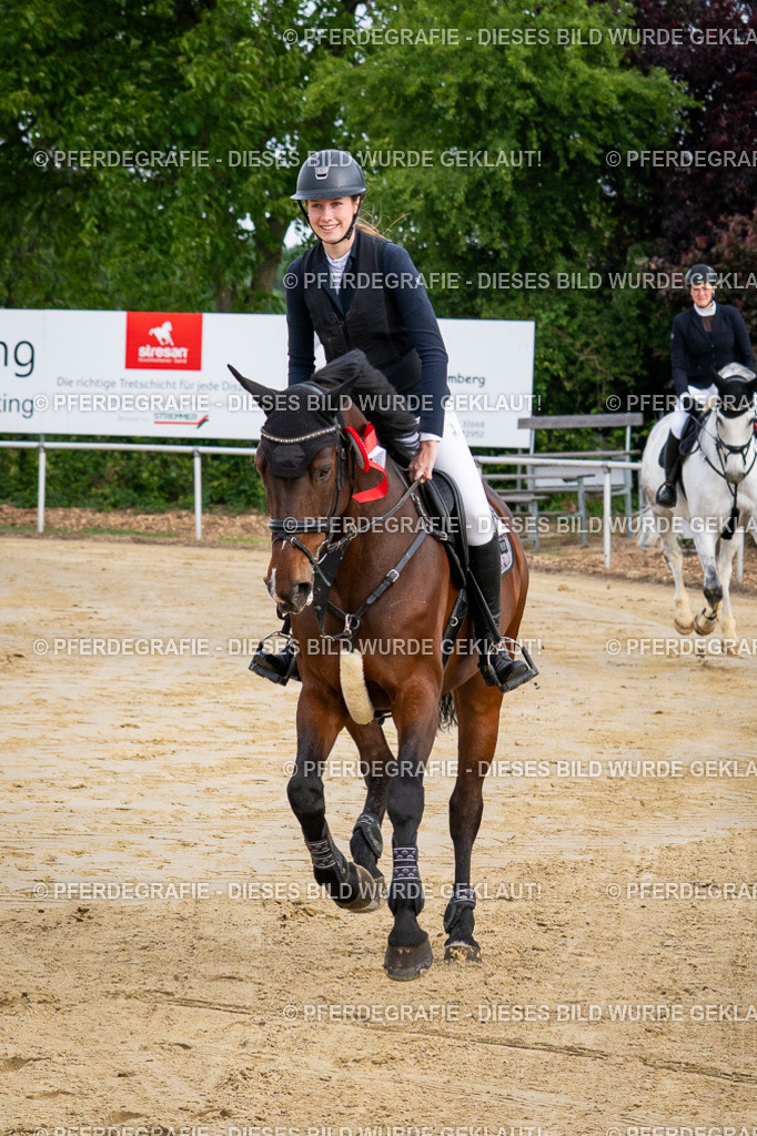 DSC03224 | Pferdegrafie