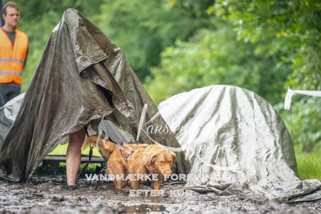 1038_ZZ92452-Bearbeitet | kk-dogfotos