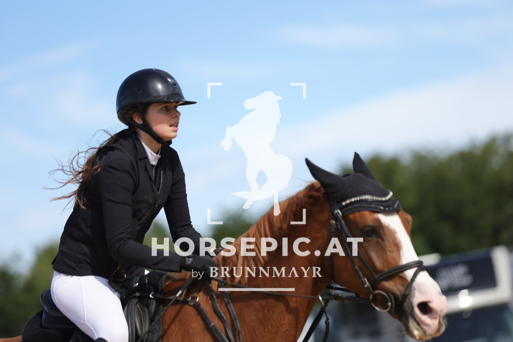 0P6A5409 | Willkommen bei Brunnmayr - Design & Fotografie – Ihrem Spezialisten für Reitturniere und Pferdeveranstaltungen in Oberösterreich, Salzburg und Bayern! Seit über 17 Jahren sind wir leidenschaftlich dabei.