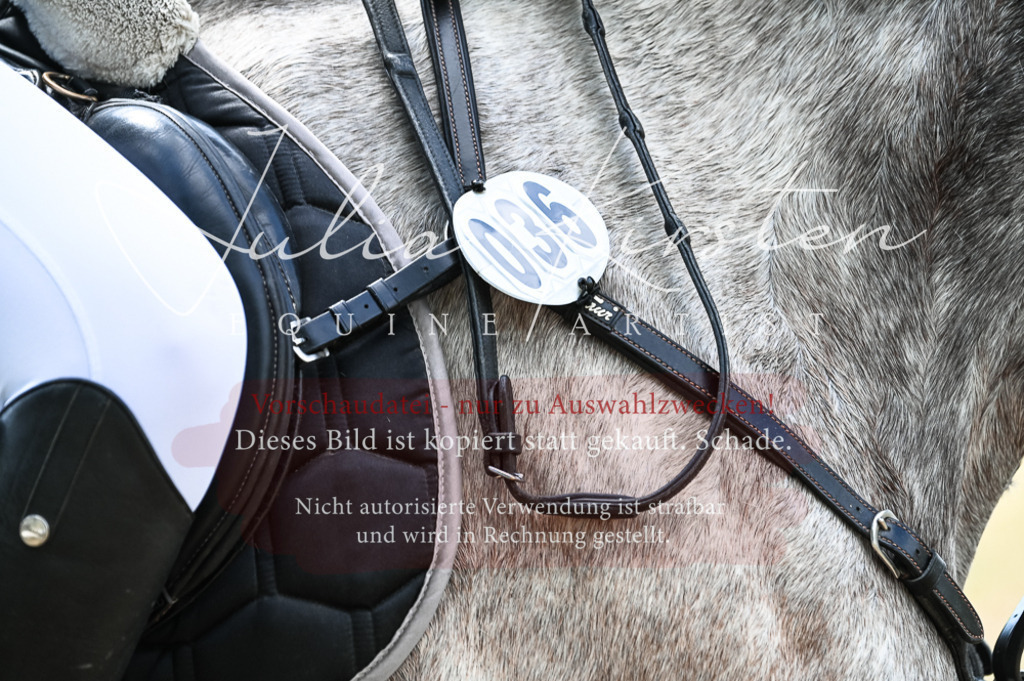 DSC_8917 | Pferde- und Turnierfotografie in Westsachsen. Pferdeportraits, Auftragszeichnungen und intuitive Kunst.
