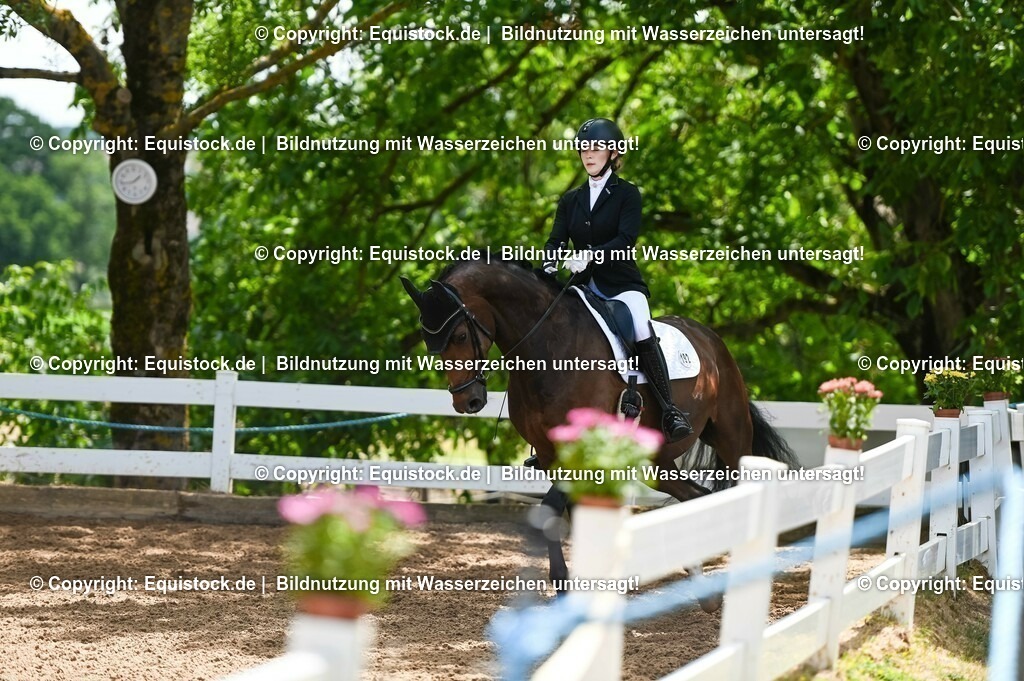 20230716_03_Dressurprfg. Kl.L - Tr._0447 | equistock