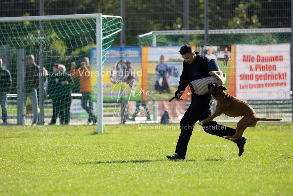 _16A5351 | Einzigartige Fotos von Hunden & Menschen –Actionfotos, Portraits, Vereinsaufnahmen & Paarshootings – authentisch, lebendig & mit Herz.
