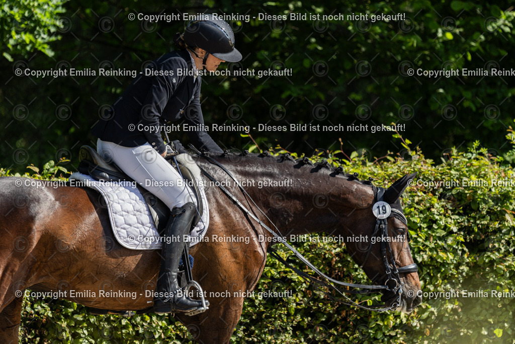 CL5A7121 | Emilia Reinking Fotografie - Realisiert mit Pictrs.com