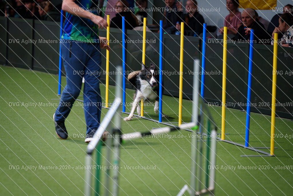 allesWIRTHgut_Tierfotografie-DVG_Agility_Masters_2026-09_53-7R502965 | Professionelle Tierfotografie in Mönchengladbach von Daniel Wirth (allesWIRTHgut). Liebevolle & natürliche Bilder von Hunden & Katzen für unvergessliche Erinnerungen.