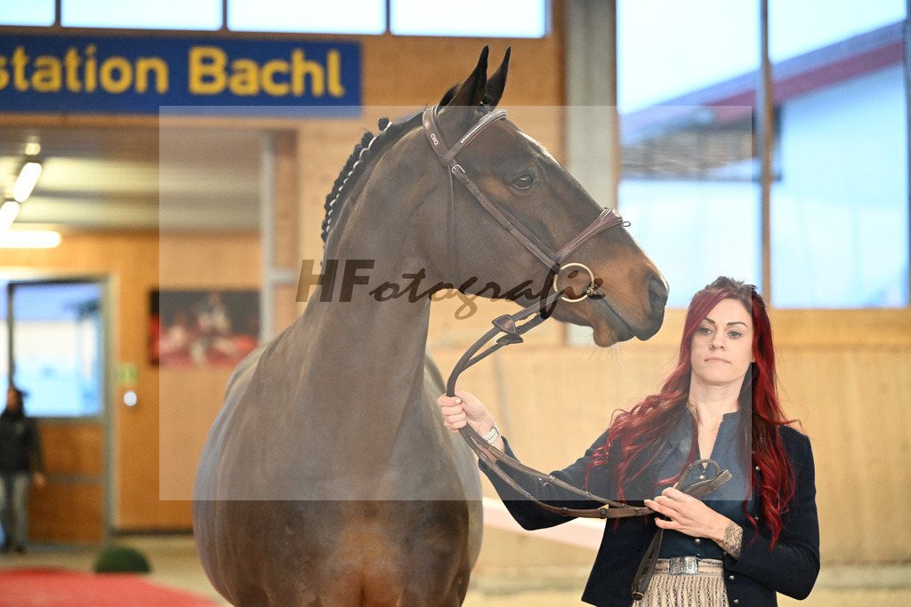 Vigaro_5250826 | hf-fotografie - Realisiert mit Pictrs.com