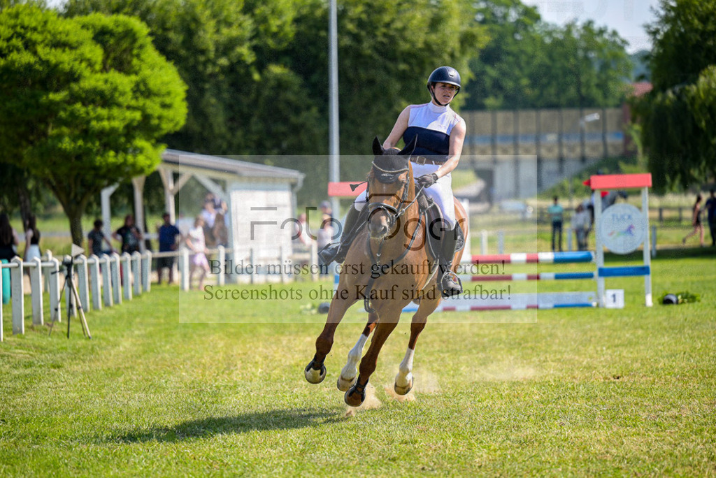 Reitturnier Voxtrup | Entdecke hochwertige Reitturnierfotos von Foto Oger. Professionell, emotional und authentisch – jetzt Lieblingsmomente im Shop bestellen.Deutschlandweite Turnierfotografie. - Realisiert mit Pictrs.com