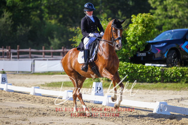 DKP42715 | Turniersportfotografie; Pferdefotografie; Dressurfotografie