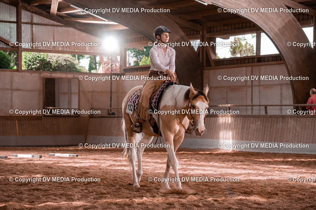 NE100556 | dv-media-shop - Realisiert mit Pictrs.com