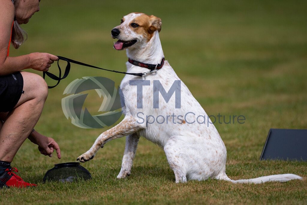 TP-20240815-0118 | Copyright: Trainproduction / Matthias Trinkl