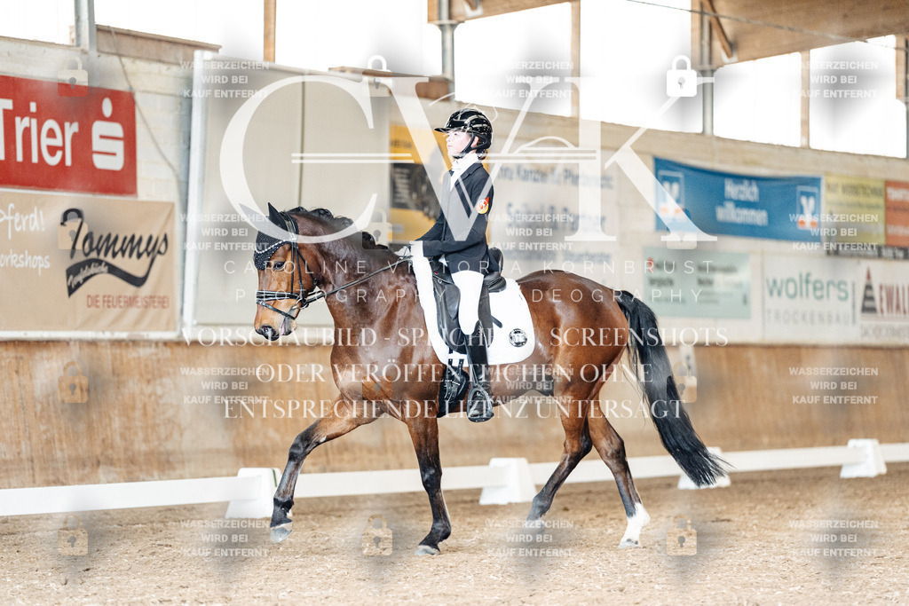 CK901462 | Turnierfotografie Pferdefotografie Trier Rheinland-Pfalz Pferdesport Reitsport Tierfotografie Sportfotografie Pferdevideo Pferdevideografie Equestrianvideography equestrianphotography  - Realisiert mit Pictrs.com