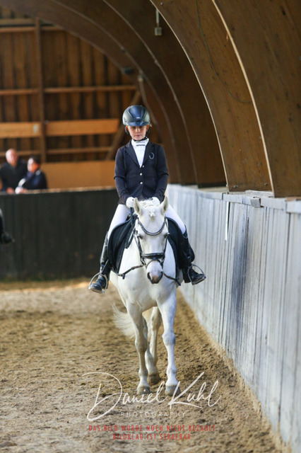 IMG_1423 | Turniersportfotografie; Pferdefotografie; Dressurfotografie