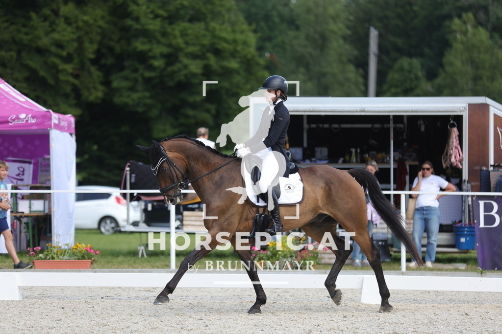 0P6A1616 | Willkommen bei Brunnmayr - Design & Fotografie – Ihrem Spezialisten für Reitturniere und Pferdeveranstaltungen in Oberösterreich, Salzburg und Bayern! Seit über 17 Jahren sind wir leidenschaftlich dabei.