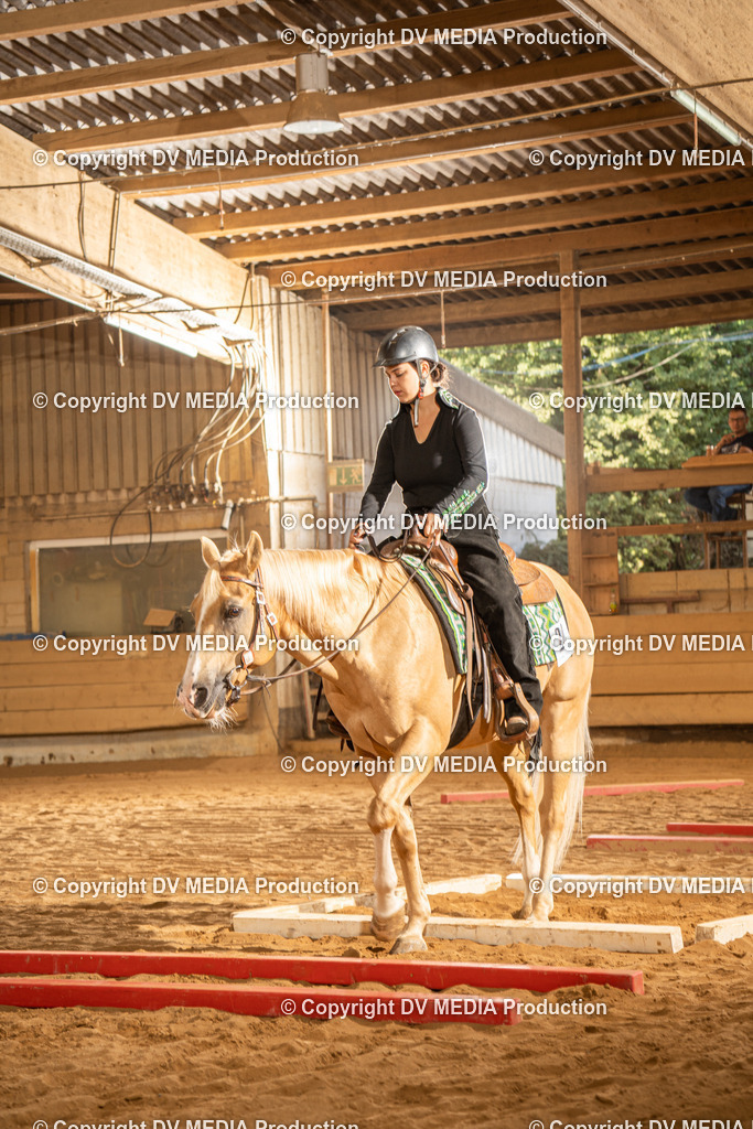 NID02751 | dv-media-shop - Realisiert mit Pictrs.com