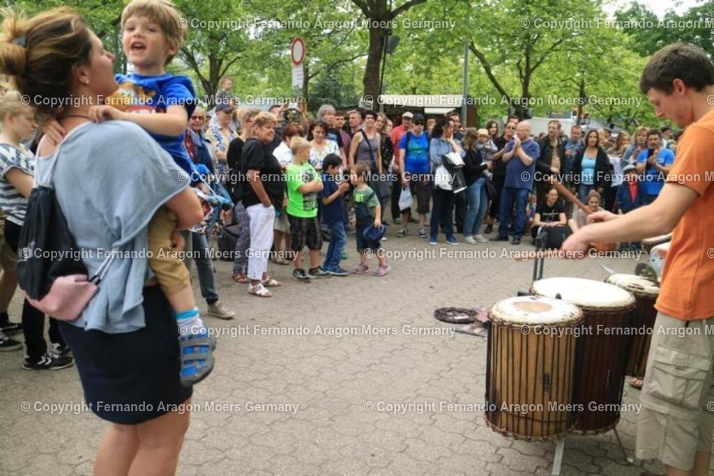 IMG_5056 | aragon-pics - Realisiert mit Pictrs.com