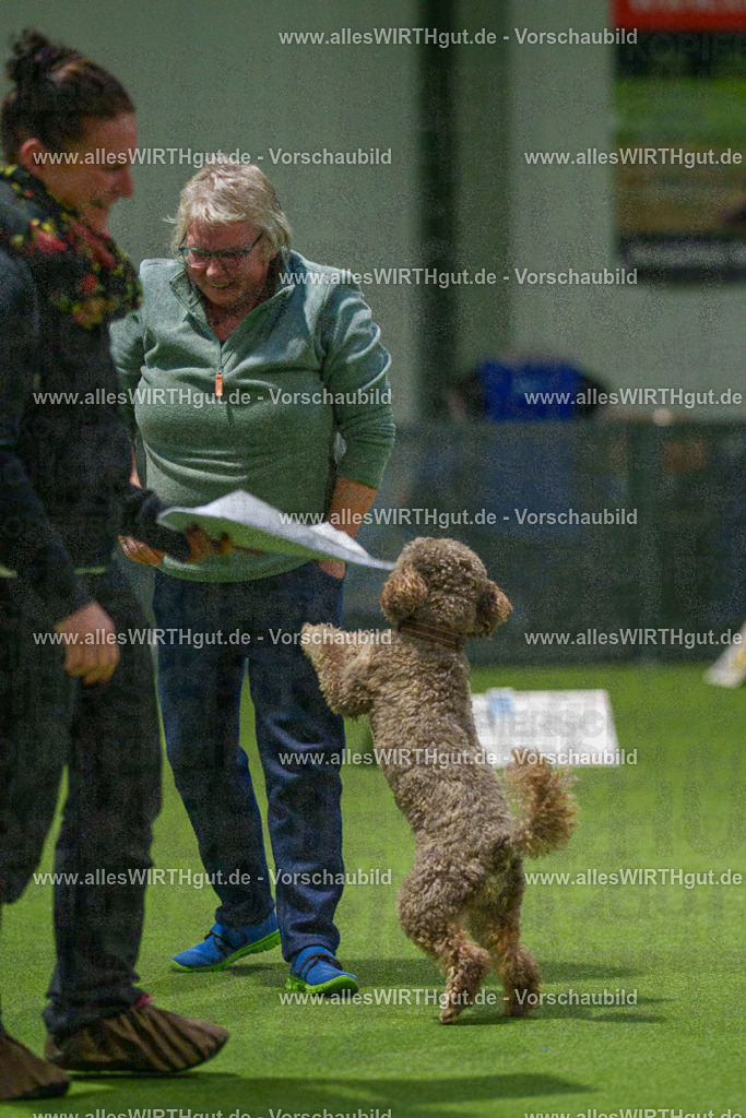 7R509191 | Professionelle Tierfotografie in Mönchengladbach von Daniel Wirth (allesWIRTHgut). Liebevolle & natürliche Bilder von Hunden & Katzen für unvergessliche Erinnerungen.