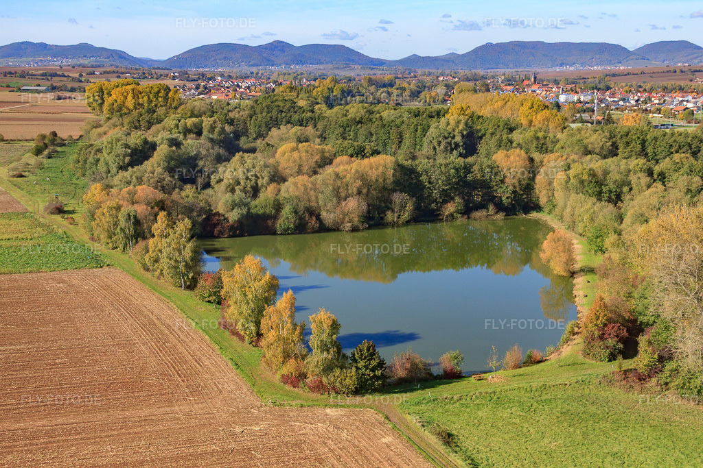 Luftbild: Fischweyher in Billigheim-Ingenheim im Bundesland Rheinland-Pfalz in Deutschland. Foto: IMG_34549.jpg vom 26.10.2010 durch Werner Riehm/FLY-FOTO.deAuflösung des Originals: 4752 x 3168 px