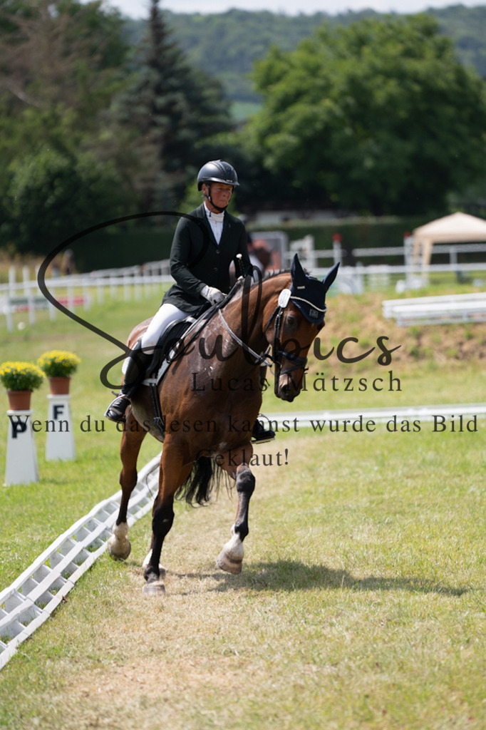 A7V09958 | Pferdefotograf