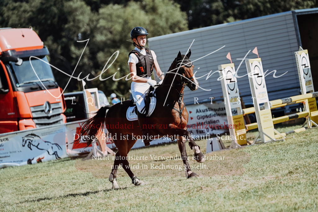 DSC_6836 | Pferde- und Turnierfotografie in Westsachsen. Pferdeportraits, Auftragszeichnungen und intuitive Kunst.