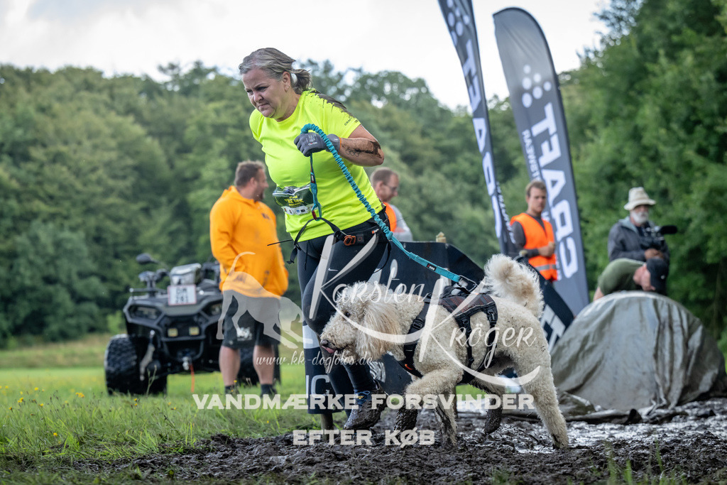 1150_ZZ94483 | kk-dogfotos