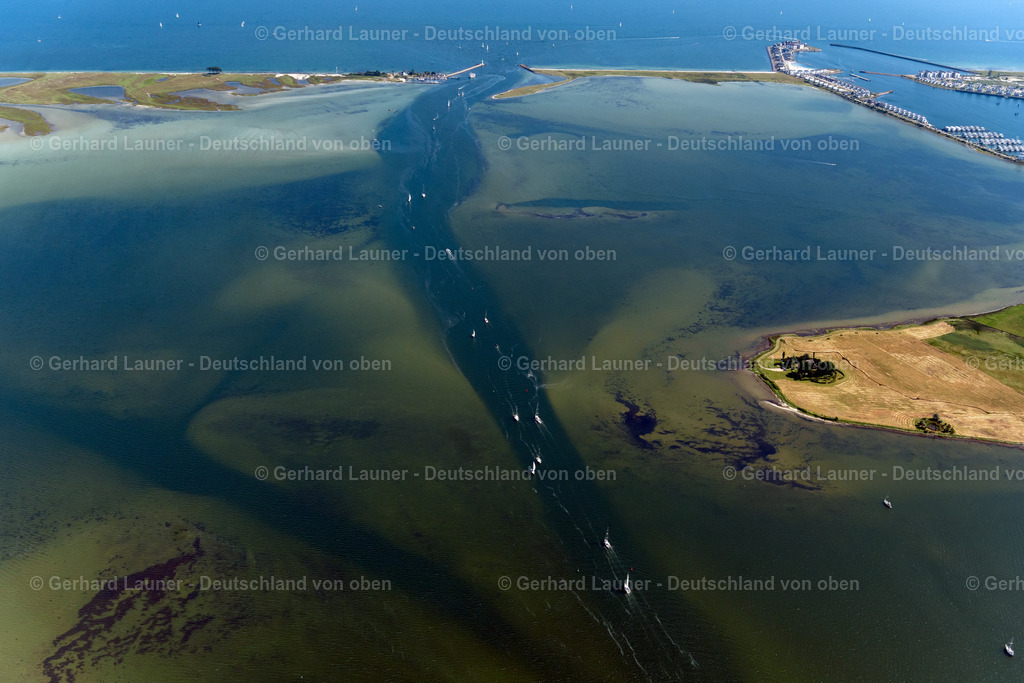 4037762 | Schleimündung