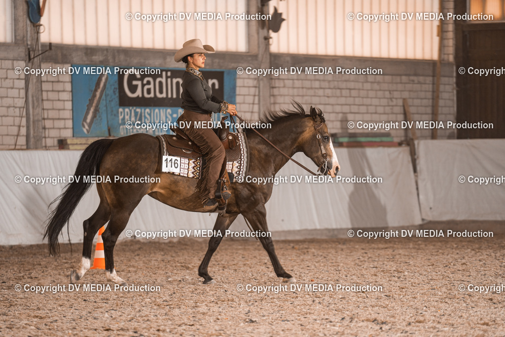 ZH100842 | dv-media-shop - Realisiert mit Pictrs.com