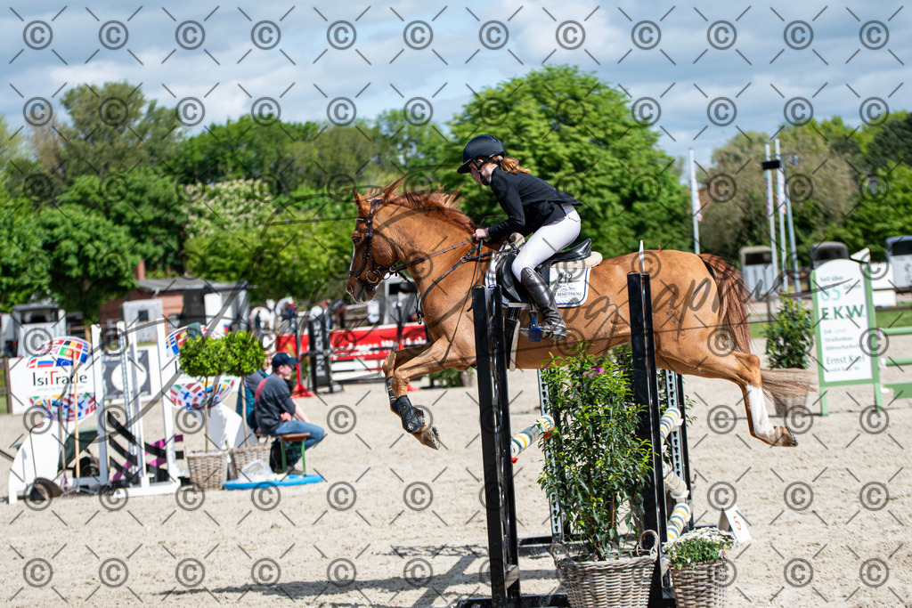 KPT_5131 | andre_photographic