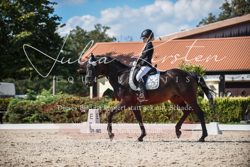 DSC_9549 | Pferde- und Turnierfotografie in Westsachsen. Pferdeportraits, Auftragszeichnungen und intuitive Kunst.