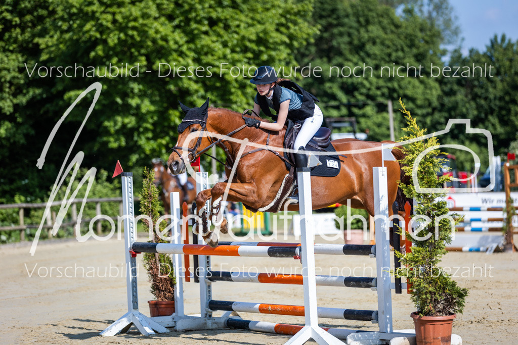 Donop24-ASpr-003 | MomenTaufnahmen Pferdesportfotos