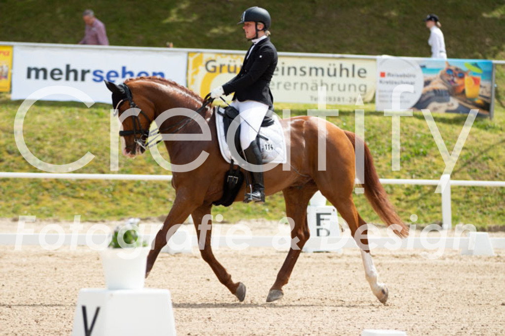 IMG_6490 | Creatify Fotografie