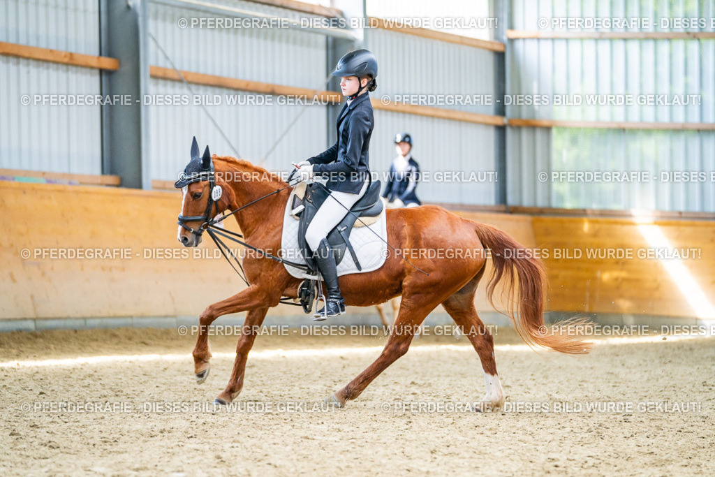 DSC03718 | Pferdegrafie