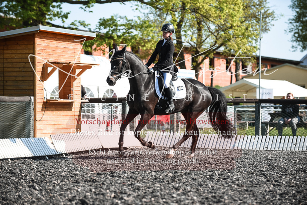 DSC_8344 | Pferde- und Turnierfotografie in Westsachsen. Pferdeportraits, Auftragszeichnungen und intuitive Kunst.