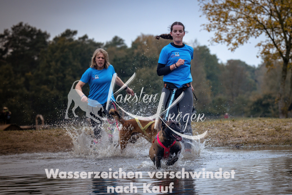 1229_ZZ90119 | kk-dogfotos