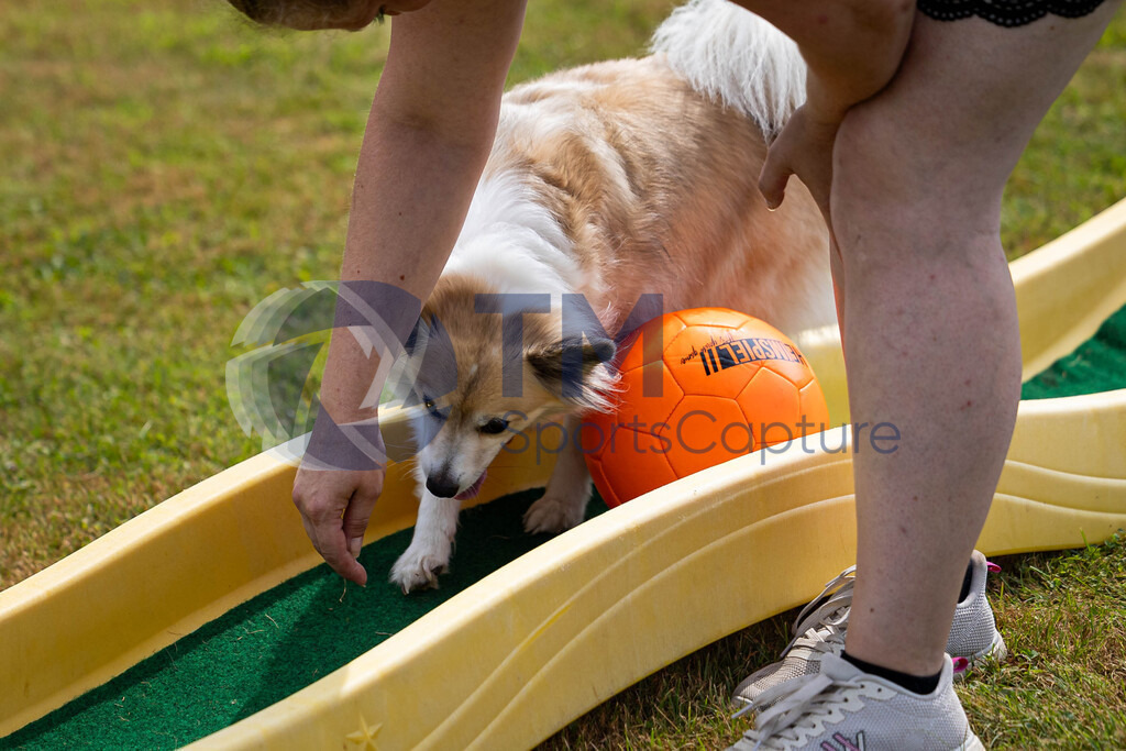 TP-20240815-0150 | Copyright: Trainproduction / Matthias Trinkl