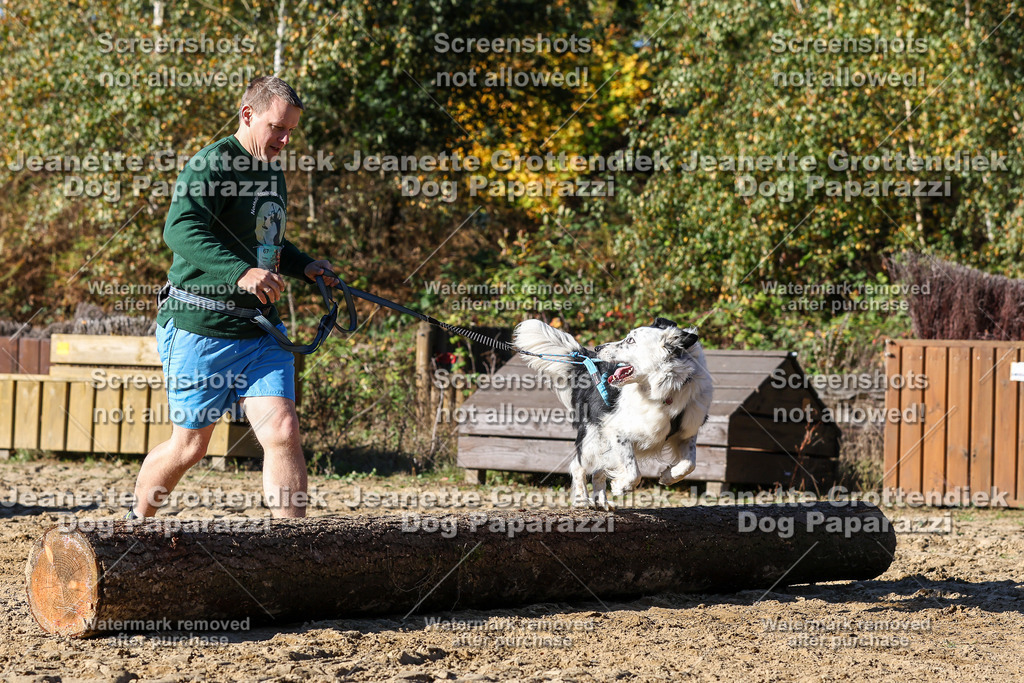 Dog Paparazzi - Strongdog 10-25-2691 | Dog Paparazzi Jeanette Grottendiek Fotografie & Videografie - Realisiert mit Pictrs.com