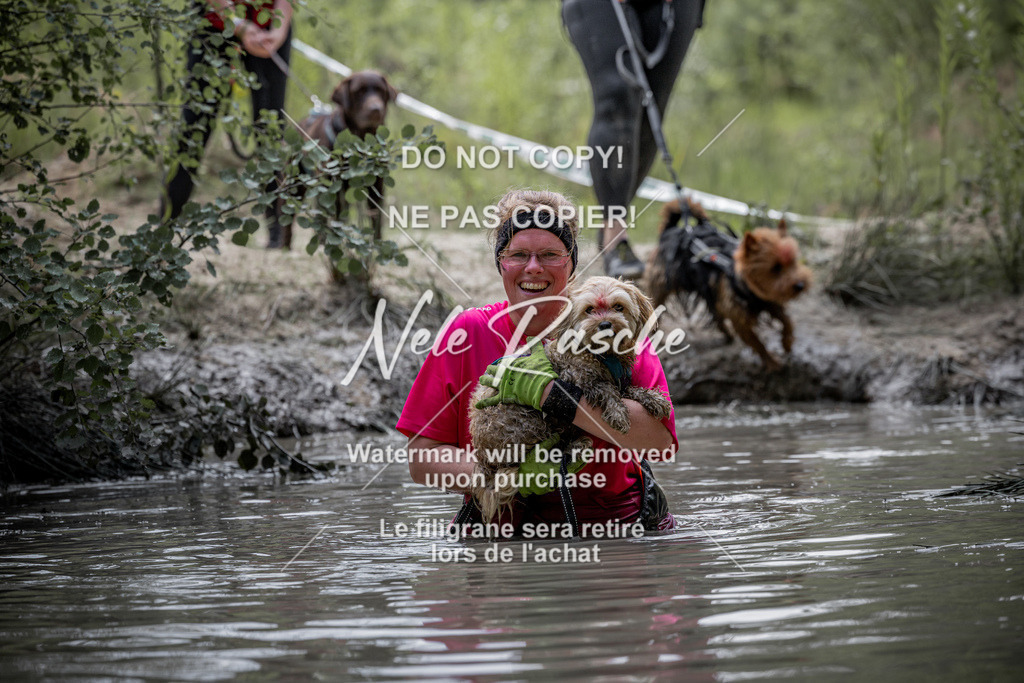 nelerasche_so1145-1230_216 | nelerasche