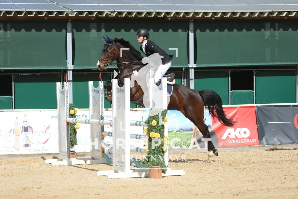 DL2Q9117 | Willkommen bei Brunnmayr - Design & Fotografie – Ihrem Spezialisten für Reitturniere und Pferdeveranstaltungen in Oberösterreich, Salzburg und Bayern! Seit über 17 Jahren sind wir leidenschaftlich dabei.