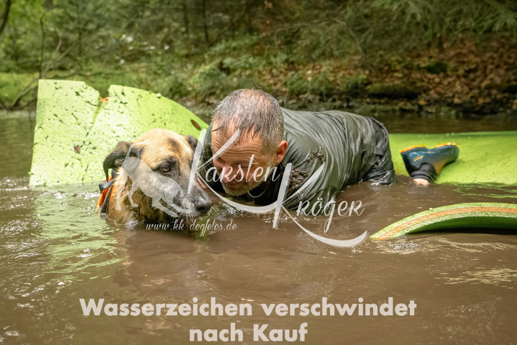 1410_ZZ91270-Bearbeitet | kk-dogfotos