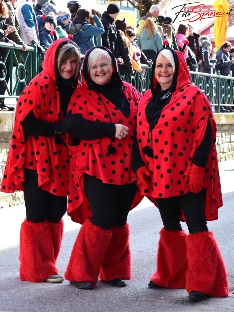 fasching-mariazell2025 (28) | Mit meiner Kamera halte ich besondere Augenblicke, faszinierende Landschaften und interessante Details fest. Dabei entstehen ganz unterschiedliche Aufnahmen – von stimmungsvollen Landschaftsfotografien und beeindruckenden Drohnenaufnahmen über Pressefotos - Realisiert mit Pictrs.com