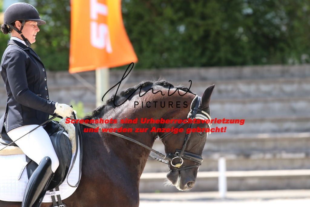 IMG_4706 | lmwpictures - Realisiert mit Pictrs.com