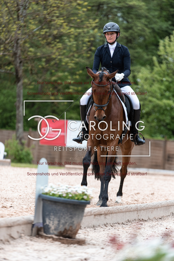 DSC_7051 | Turnierfotografin Carolin Gieschke,Reitsport Turnierfotografie Carolin G Fotografie | Turnierfotos aus Kirchheim/Teck, Esslingen, Stuttgart und dem Bodenseekreis