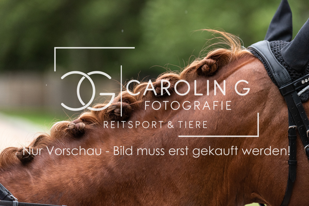 DSC_4334 | Turnierfotografin Carolin Gieschke, Turnierfotografie Carolin G Fotografie, Turnierfotos Kirchheim/Teck, Esslingen, Stuttgart, Bodenseekreis