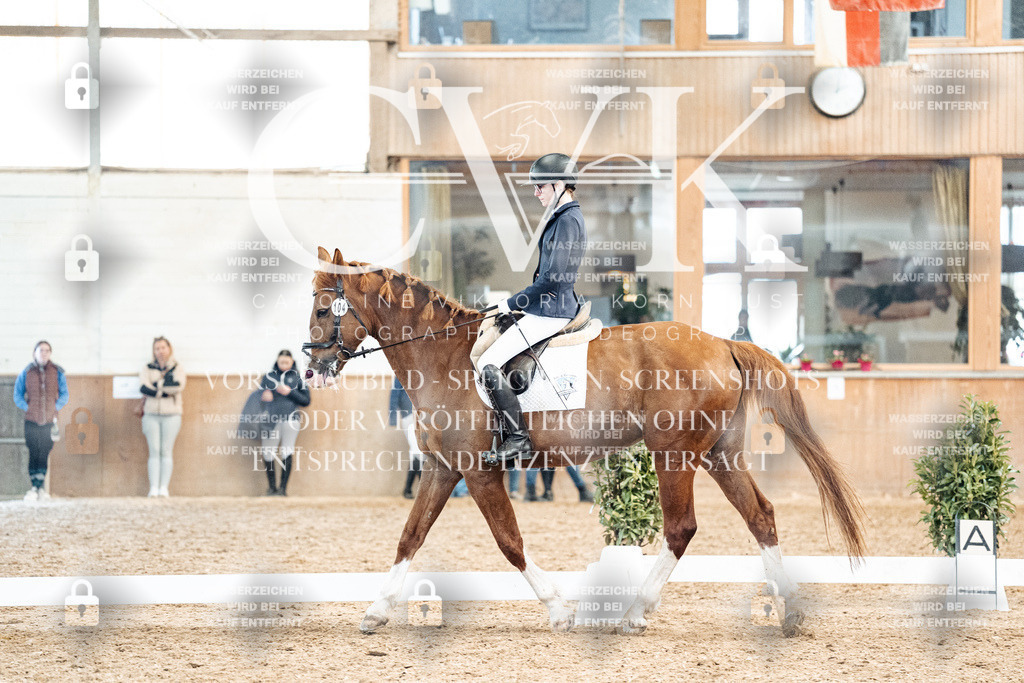 CK909947 | Turnierfotografie Pferdefotografie Trier Rheinland-Pfalz Pferdesport Reitsport Tierfotografie Sportfotografie Pferdevideo Pferdevideografie Equestrianvideography equestrianphotography  - Realized with Pictrs.com