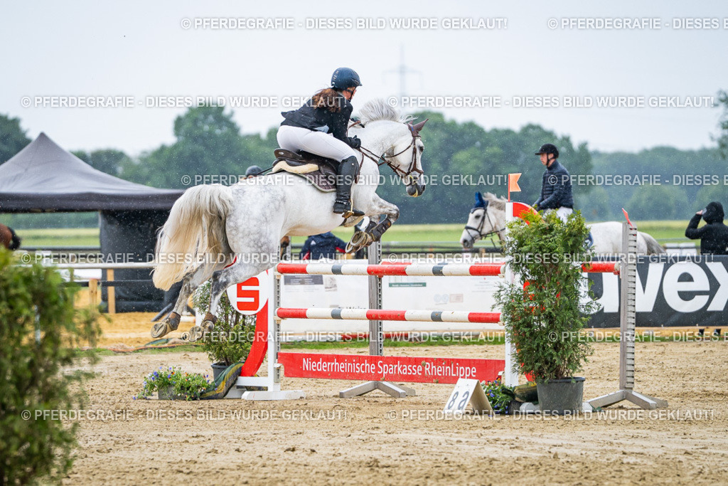 DSC08665 | Pferdegrafie