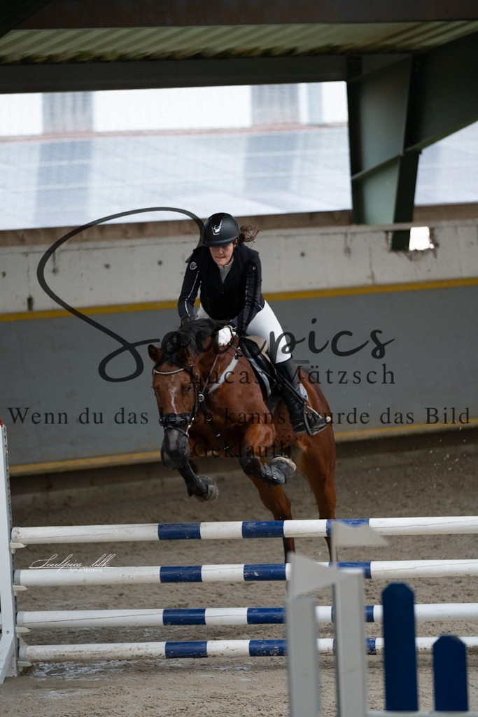 A7V01254 | Pferdefotograf