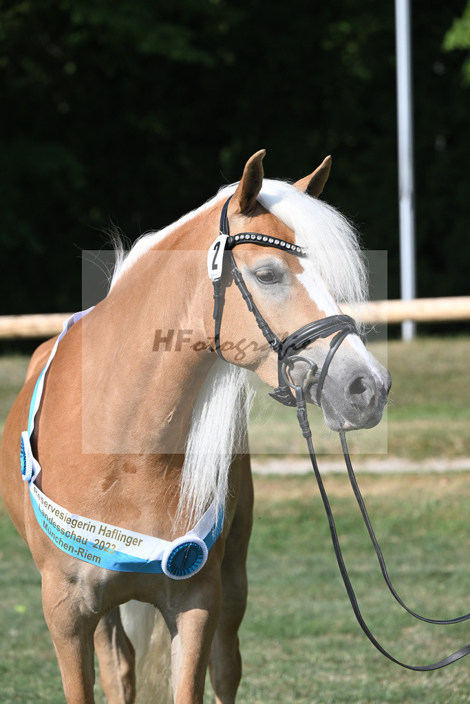Kat-Nr. 2 Larissa_Weber_20231970 | hf-fotografie - Realisiert mit Pictrs.com
