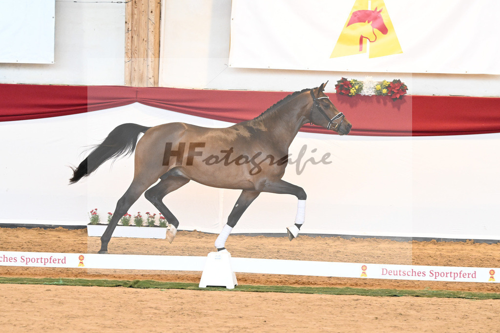 Kat-Nr. 55 Va Bene x Goldberg_Kuntz_43230573 | hf-fotografie - Realisiert mit Pictrs.com